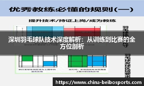 深圳羽毛球队技术深度解析：从训练到比赛的全方位剖析